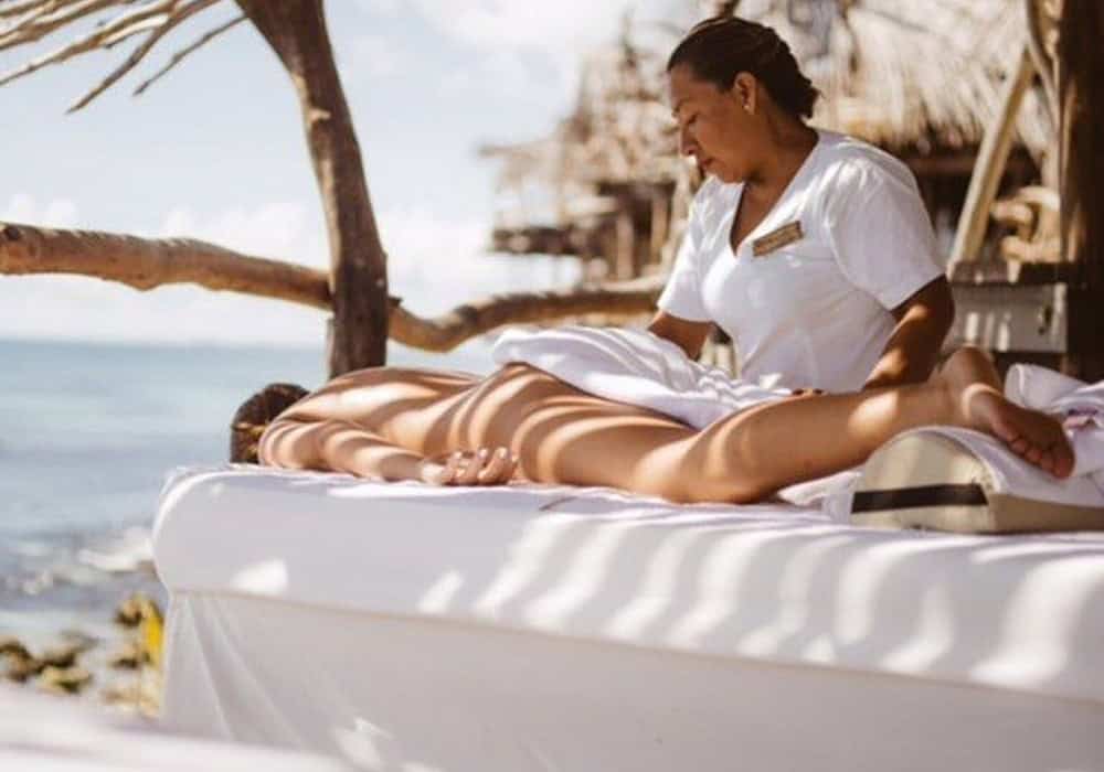 Vital Shores Amentites Vital Shores Amentites