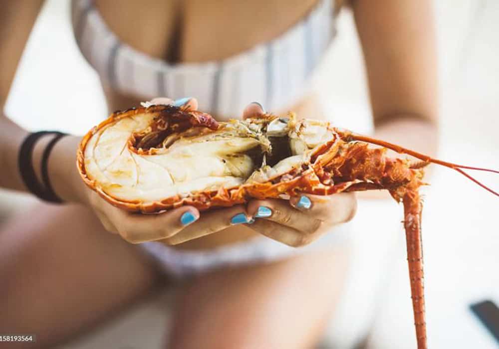 dining-gallery-img-new8