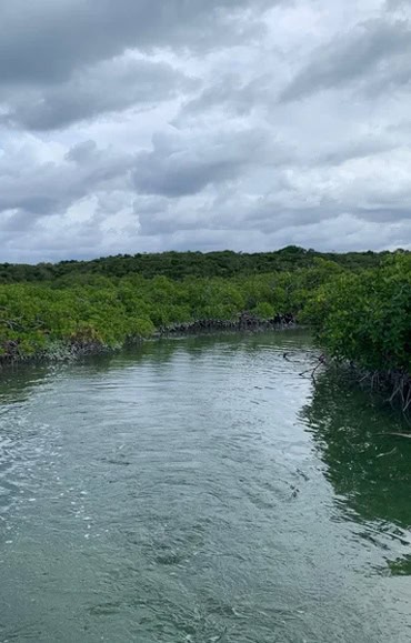 Paddleboard, Kayak, and E-foil